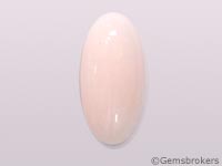 Angel's skin coral cabochon