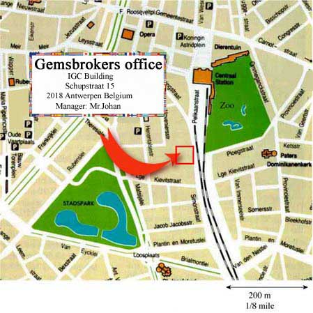 Antwerp gemsbokers office location